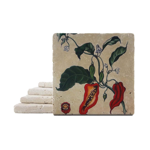 Rachel Szalay Botanical Chilli Coaster