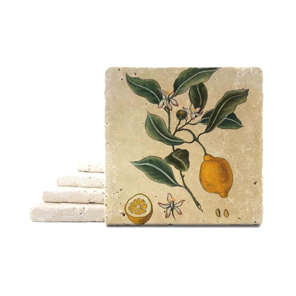 Rachel Szalay Botanical Lemon Coaster