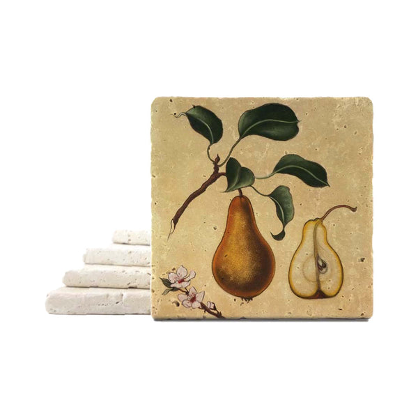 Rachel Szalay Botanical Pear Coaster